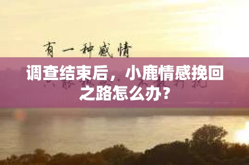 调查结束后，小鹿情感挽回之路怎么办？
