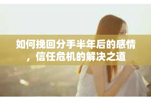 如何挽回分手半年后的感情，信任危机的解决之道
