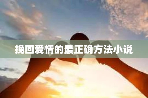 挽回爱情的最正确方法小说