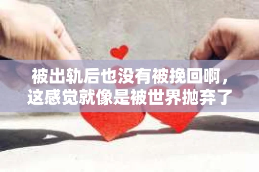 被出轨后也没有被挽回啊，这感觉就像是被世界抛弃了一样。我曾经也经历过这样的事情，那种心如刀割的痛，至今仍记忆犹新。今天，我想和大家聊聊这个话题，希望能给那些正在经历或者曾经经历过类似痛苦的人一些安慰和帮助。