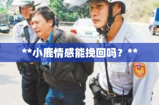 **小鹿情感能挽回吗？**