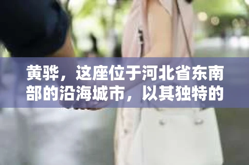 黄骅，这座位于河北省东南部的沿海城市，以其独特的地理位置和丰富的历史文化而闻名。然而，在这座城市中，还有一群人，他们以另一种方式默默守护着社会的公平与正义——私家侦探。今天，我们就来聊聊黄骅的私家侦探，看看他们是如何在这个城市中发挥作用的。