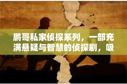 鹏哥私家侦探系列，一部充满悬疑与智慧的侦探剧，吸引了无数观众的眼球。今天，就让我带你走进这个充满神秘色彩的侦探世界，一起在线观看鹏哥私家侦探系列，感受那扣人心弦的故事情节。
