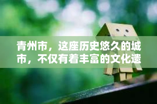 青州市，这座历史悠久的城市，不仅有着丰富的文化遗产，也有着现代生活的便捷。那么，问题来了——青州市有私家侦探公司吗？这个问题，对于需要侦探服务的人来说，无疑至关重要。接下来，我就来为大家揭开这个谜底。