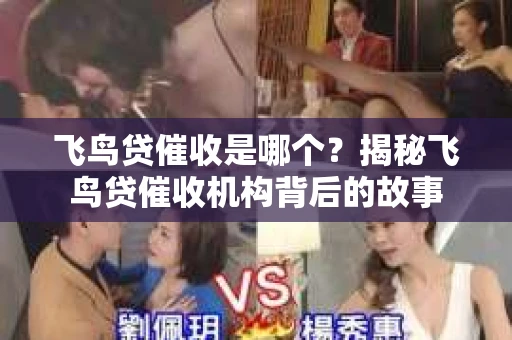 飞鸟贷催收是哪个？揭秘飞鸟贷催收机构背后的故事