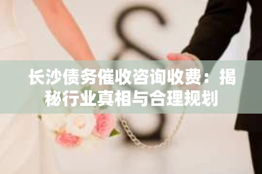 长沙债务催收咨询收费：揭秘行业真相与合理规划