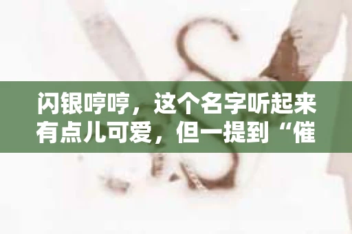 闪银哼哼，这个名字听起来有点儿可爱，但一提到“催收”，气氛就变得严肃起来。今天，我们就来聊聊这个话题，揭开“闪银哼哼催收”的神秘面纱。