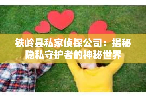 铁岭县私家侦探公司：揭秘隐私守护者的神秘世界