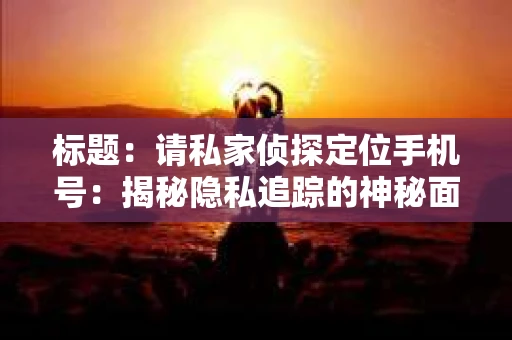 标题：请私家侦探定位手机号：揭秘隐私追踪的神秘面纱
