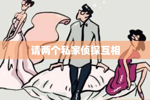 请两个私家侦探互相