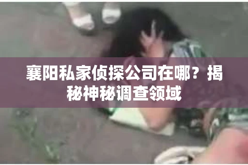襄阳私家侦探公司在哪？揭秘神秘调查领域