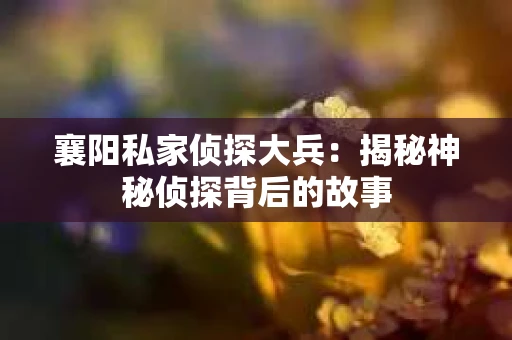 襄阳私家侦探大兵：揭秘神秘侦探背后的故事