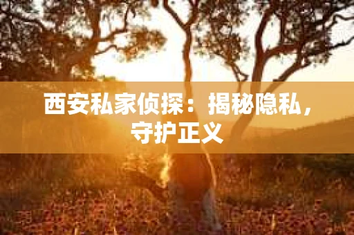 西安私家侦探：揭秘隐私，守护正义