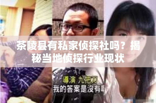 茶陵县有私家侦探社吗？揭秘当地侦探行业现状