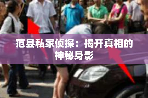 范县私家侦探：揭开真相的神秘身影