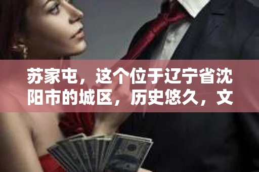 苏家屯，这个位于辽宁省沈阳市的城区，历史悠久，文化底蕴深厚。近年来，随着社会的发展，人们对于私家侦探的需求也逐渐增加。那么，苏家屯有私家侦探吗？今天，我们就来聊聊这个话题。
