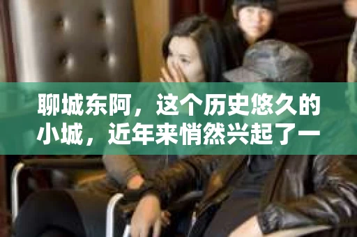 聊城东阿，这个历史悠久的小城，近年来悄然兴起了一股新的服务潮流——私家侦探。今天，我们就来聊聊这个话题，看看在聊城东阿，私家侦探是如何成为人们生活中的一部分的。