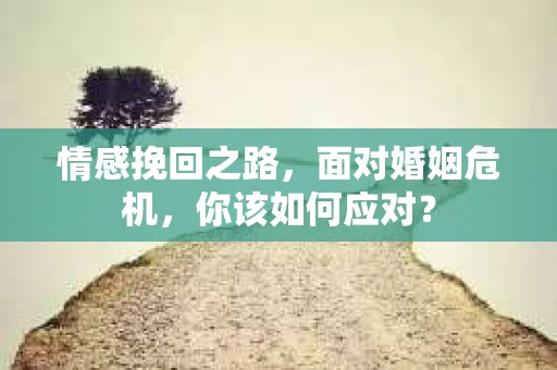 情感挽回之路，面对婚姻危机，你该如何应对？