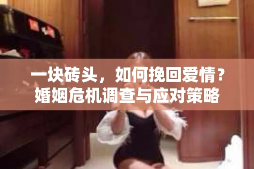 一块砖头,如何挽回爱情?婚姻危机调查与应对策略 一块砖头,如何挽回爱情?婚姻危机调查与应对策略