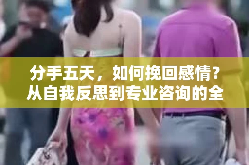 分手五天,如何挽回感情?从自我反思到专业咨询的全面解决方案 分手五天,如何挽回感情?从自我反思到专业咨询的全面解决方案