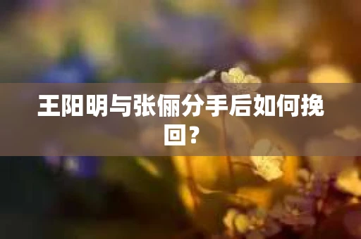 王阳明与张俪分手后如何挽回？