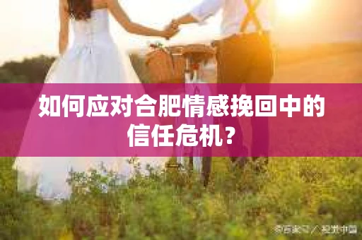 如何应对合肥情感挽回中的信任危机？
