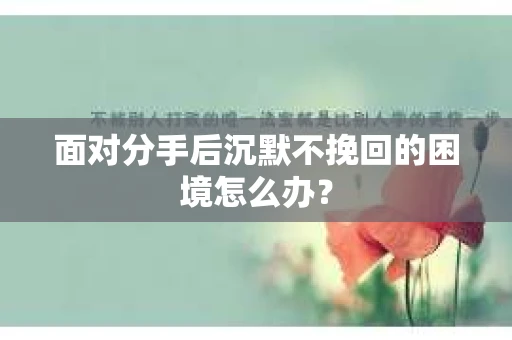 面对分手后沉默不挽回的困境怎么办？
