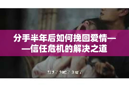 分手半年后如何挽回爱情——信任危机的解决之道